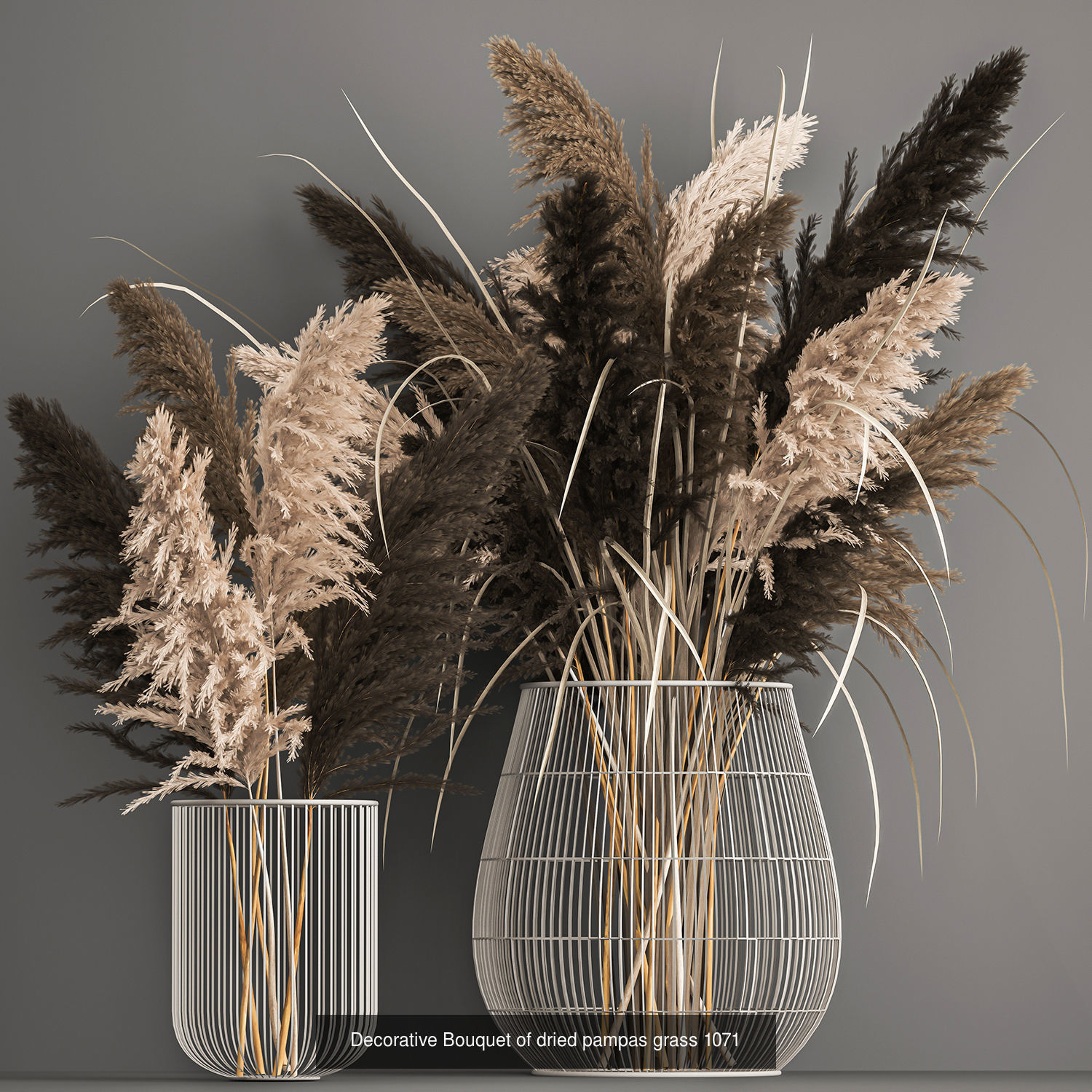 Collection of bouquets of dried flowers pampas Cortaderie reeds _9