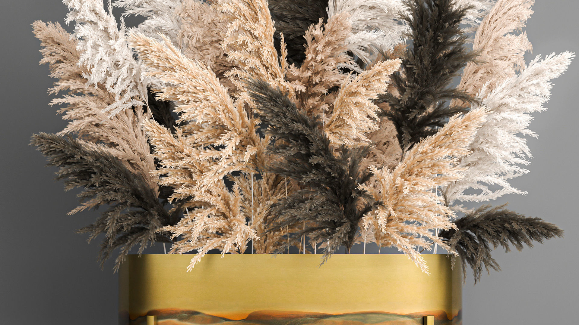 Collection of bouquets of dried flowers pampas Cortaderie reeds _17