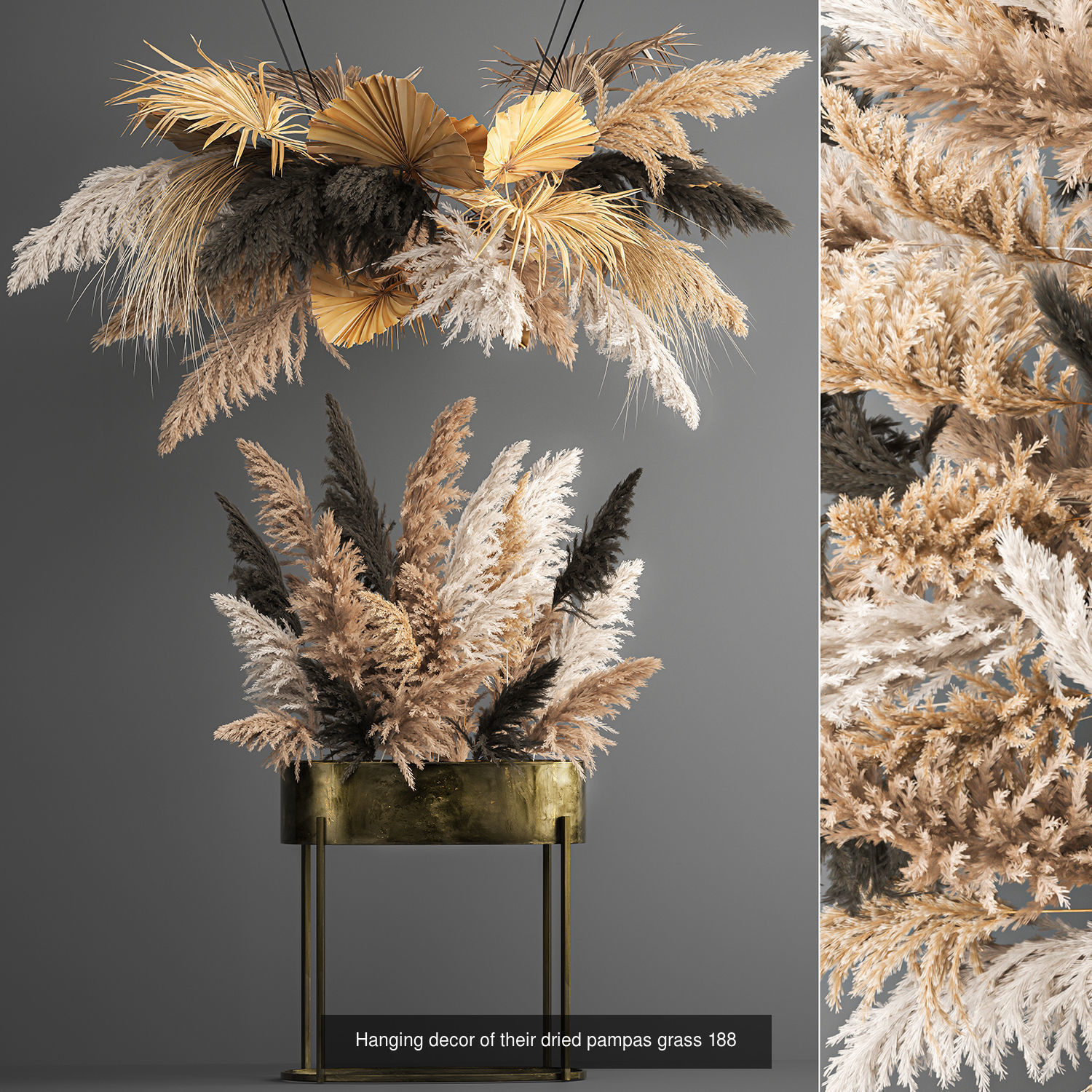 Collection of bouquets of dried flowers pampas Cortaderie reeds _2