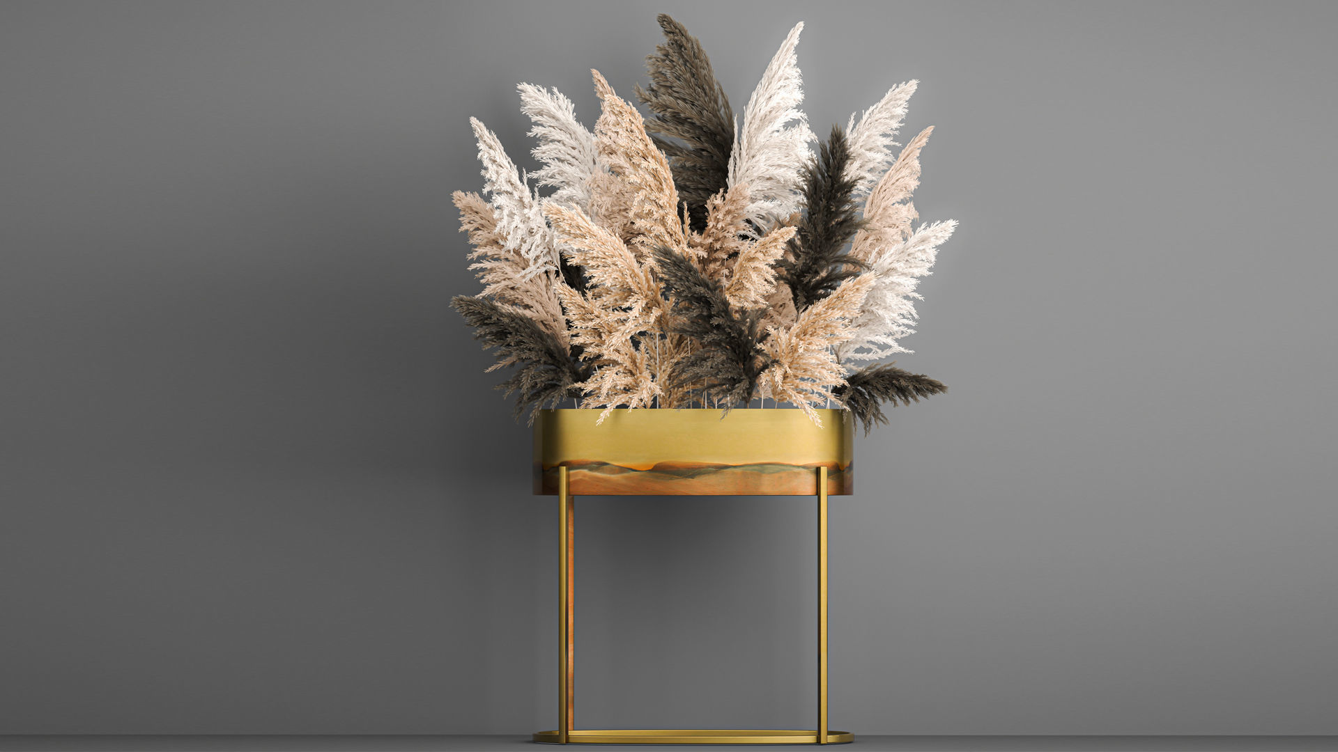 Collection of bouquets of dried flowers pampas Cortaderie reeds _11