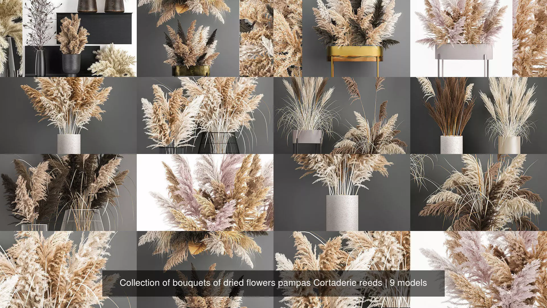 Collection of bouquets of dried flowers pampas Cortaderie reeds _0