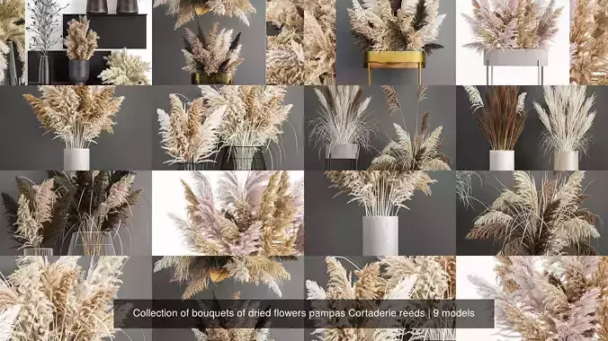 Collection of bouquets of dried flowers pampas Cortaderie reeds