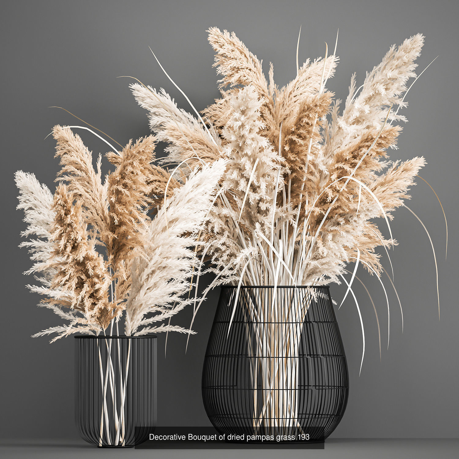 Collection of bouquets of dried flowers pampas Cortaderie reeds _6