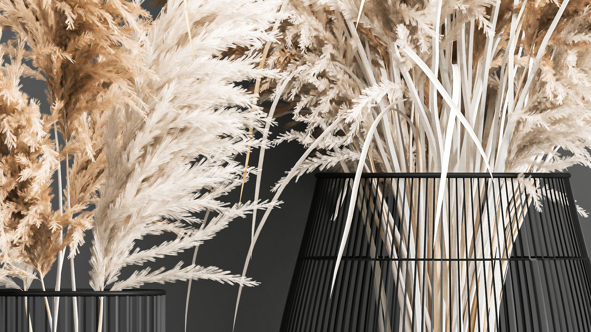 Collection of bouquets of dried flowers pampas Cortaderie reeds _16