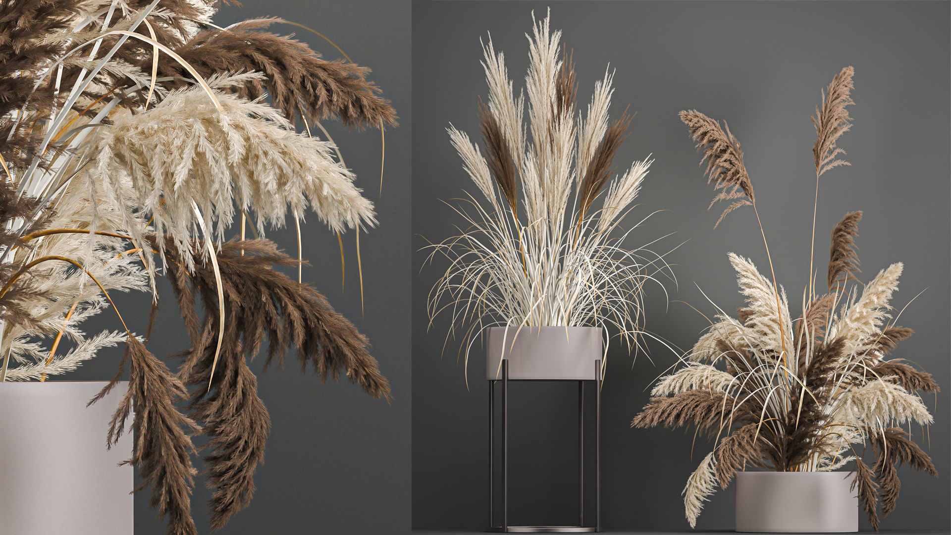 Collection of bouquets of dried flowers pampas Cortaderie reeds _24