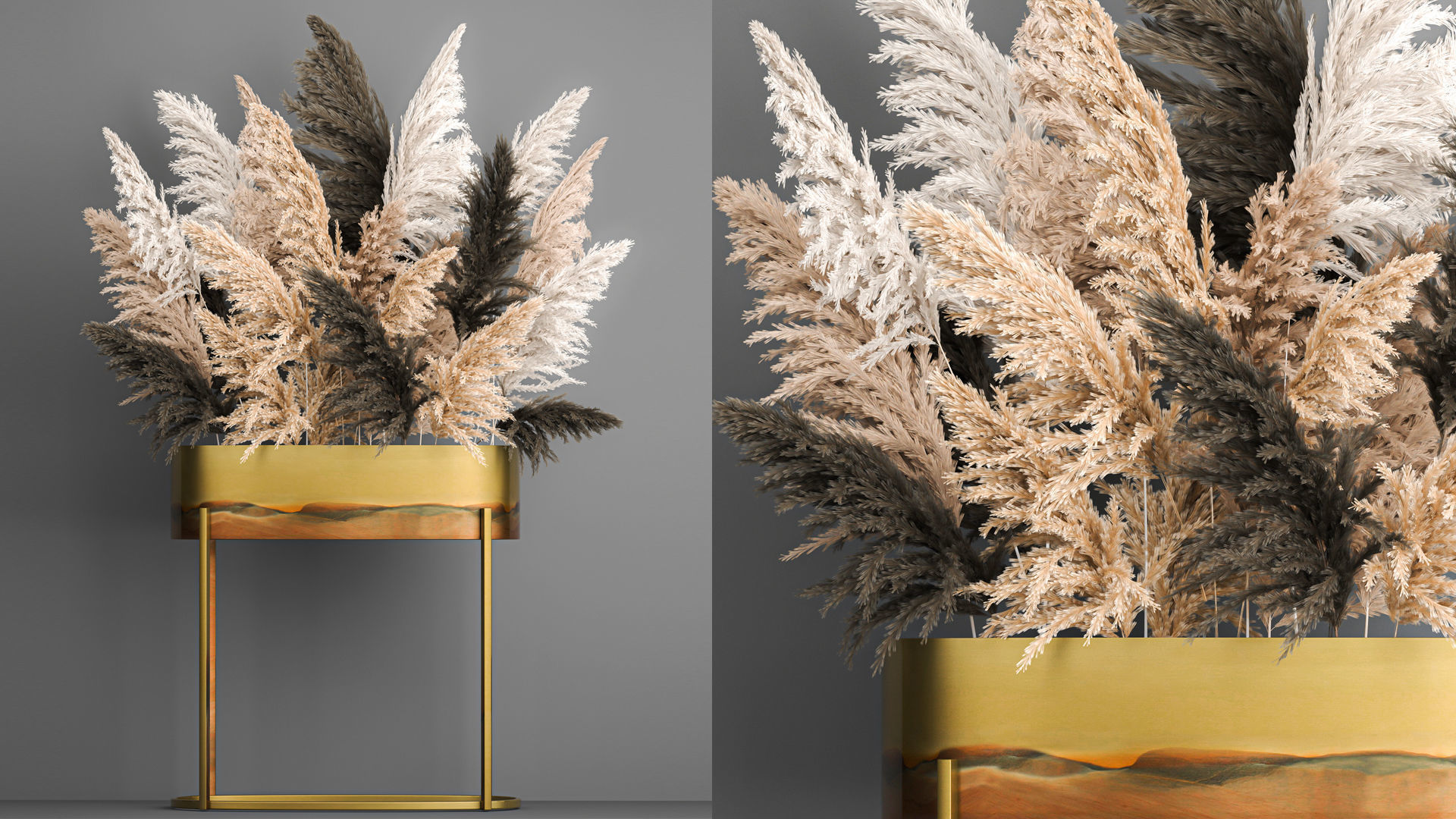 Collection of bouquets of dried flowers pampas Cortaderie reeds _12