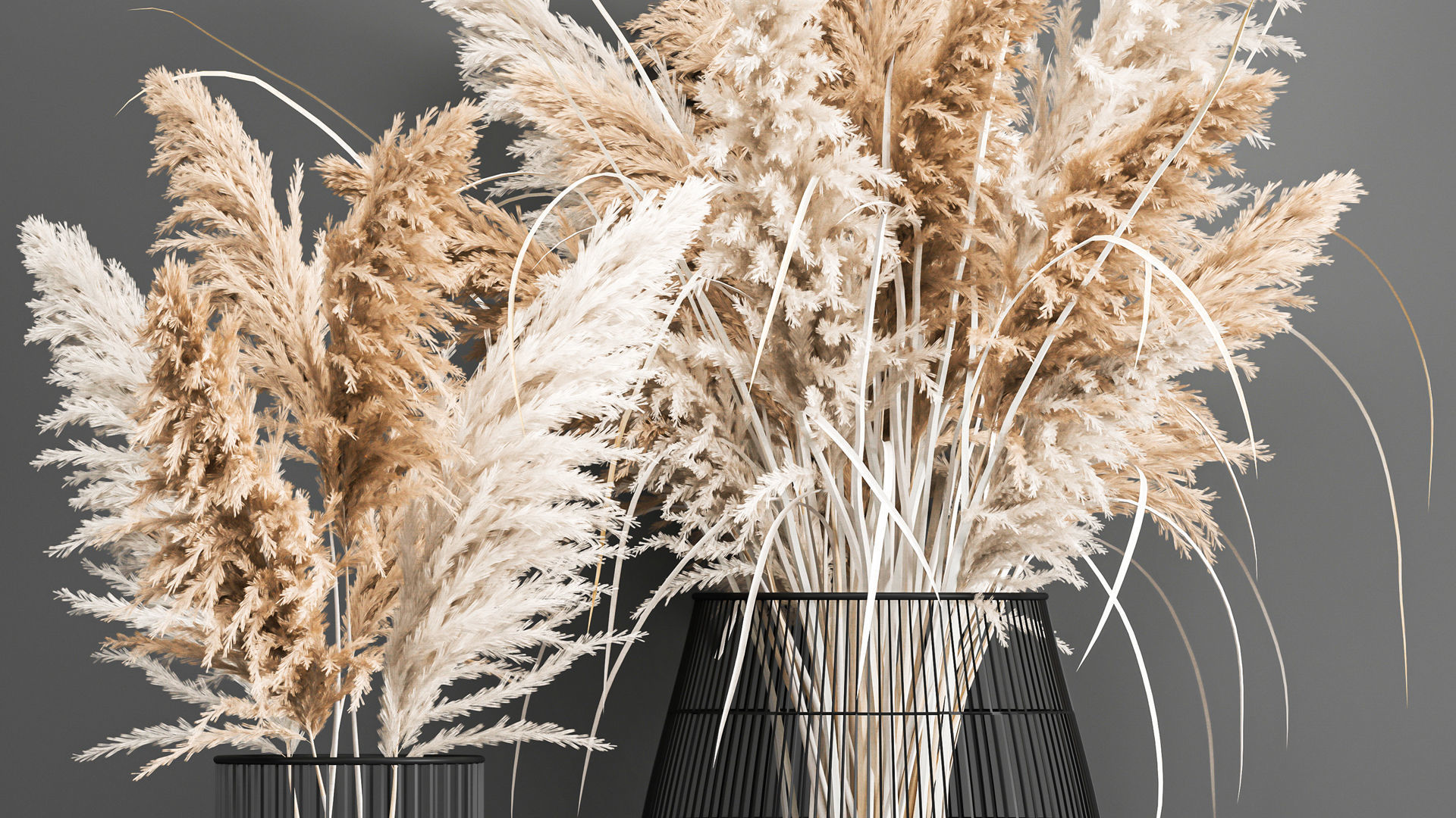 Collection of bouquets of dried flowers pampas Cortaderie reeds _18