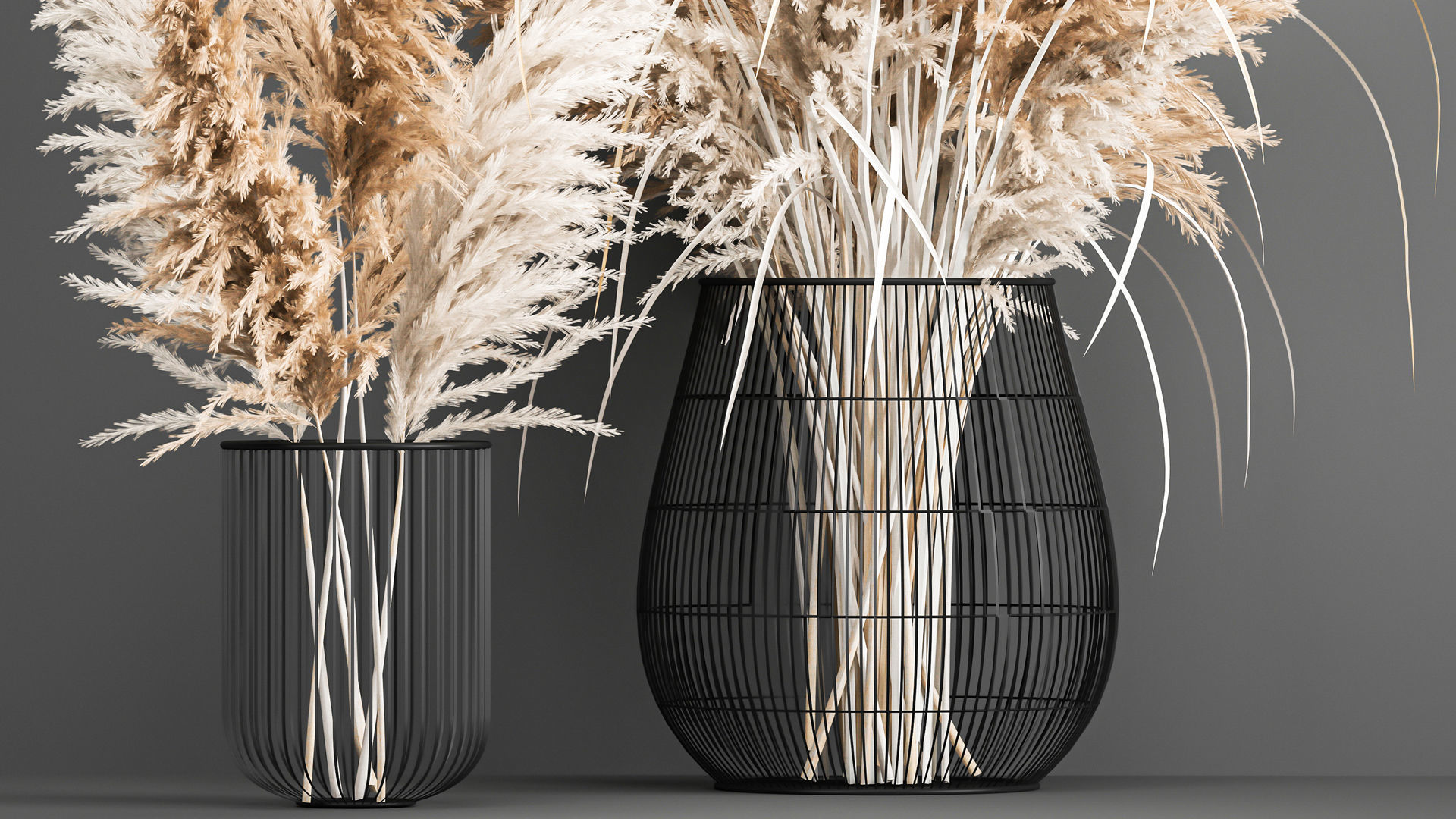 Collection of bouquets of dried flowers pampas Cortaderie reeds _14