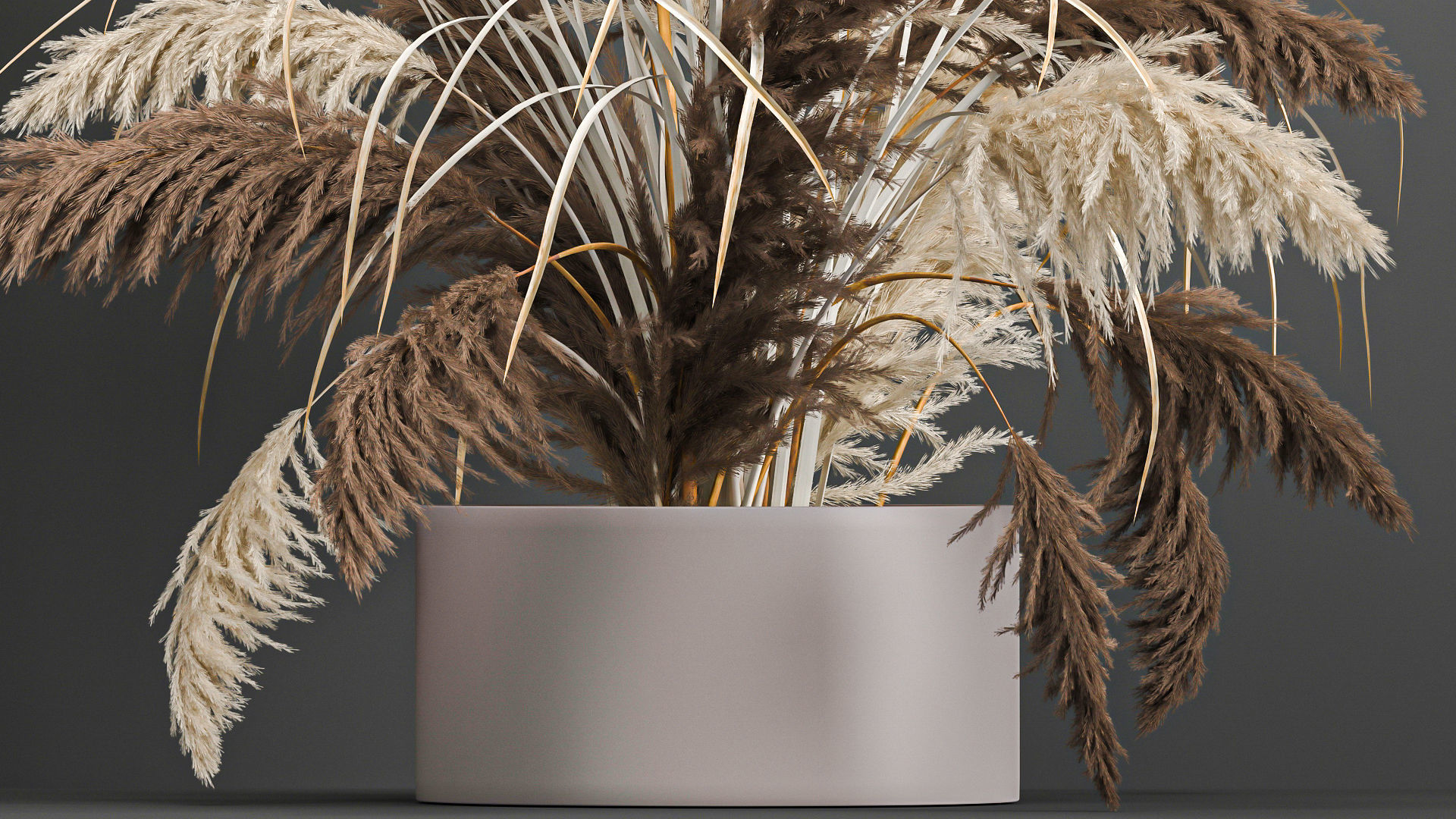 Collection of bouquets of dried flowers pampas Cortaderie reeds _22