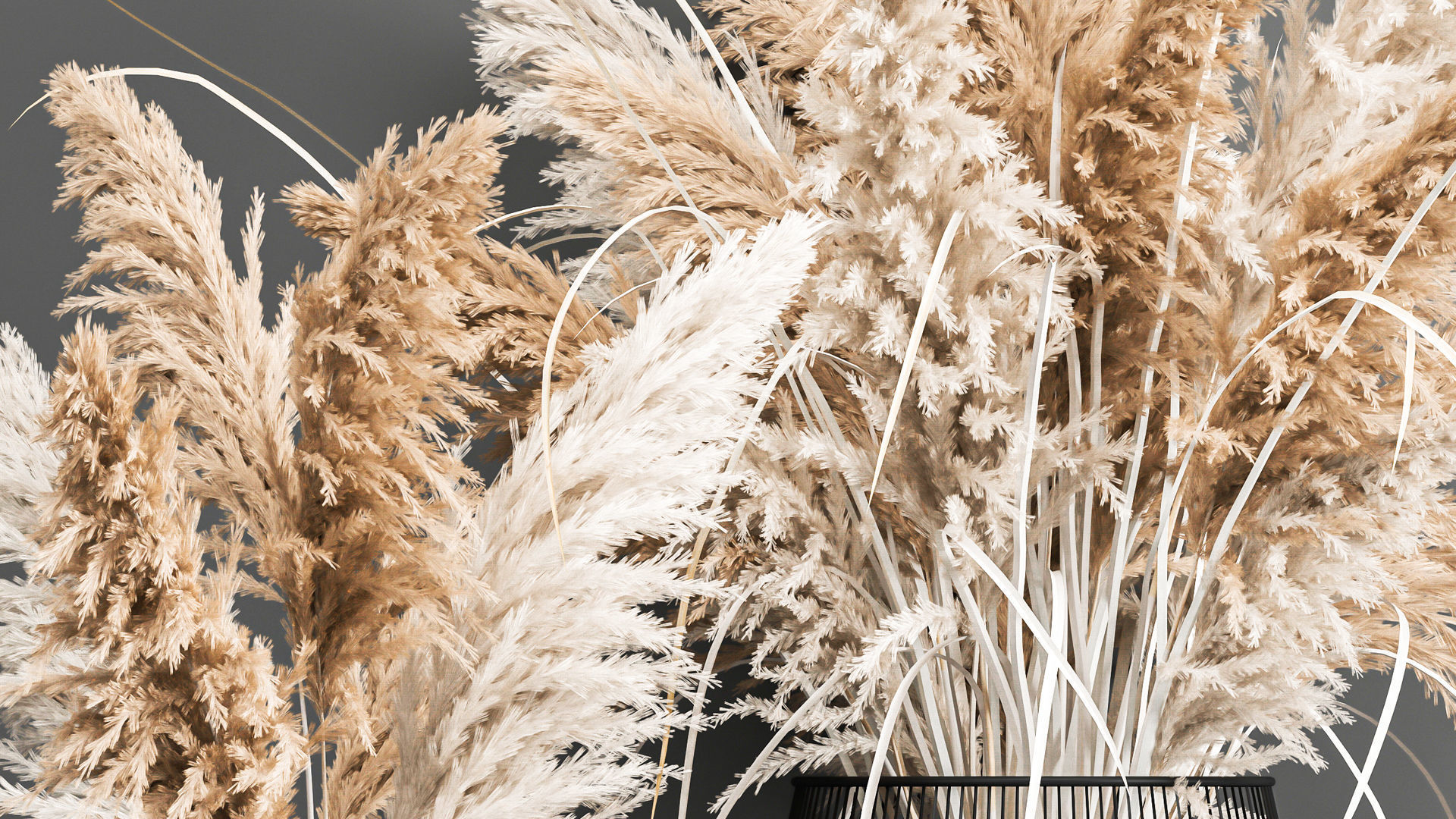 Collection of bouquets of dried flowers pampas Cortaderie reeds _19