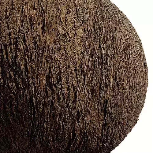 Bark Seamless Texture 2K - EXR 5 - JPG 5 Texture