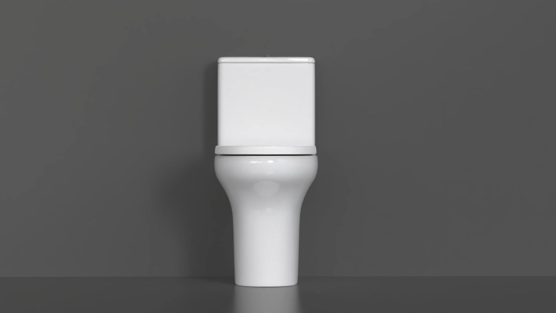 WC36 Toilet 3D model_4