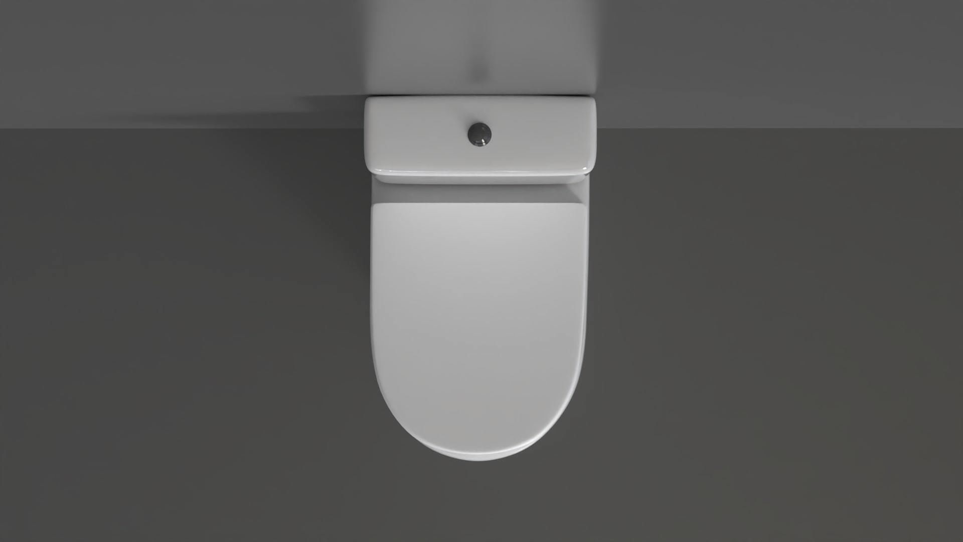 WC36 Toilet 3D model_5