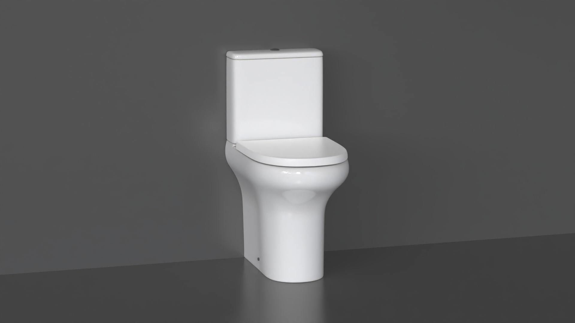 WC36 Toilet 3D model_6