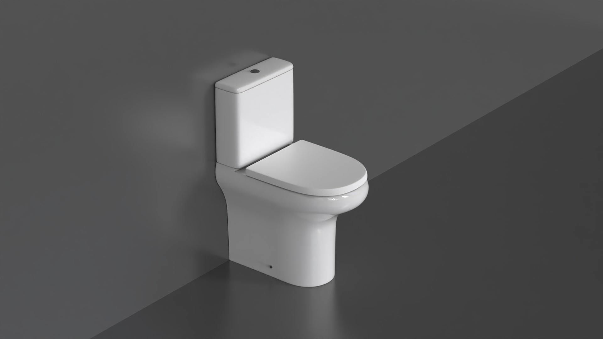 WC36 Toilet 3D model_8