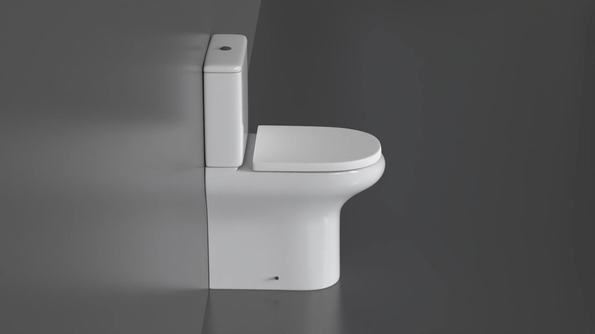 WC36 Toilet 3D model_9