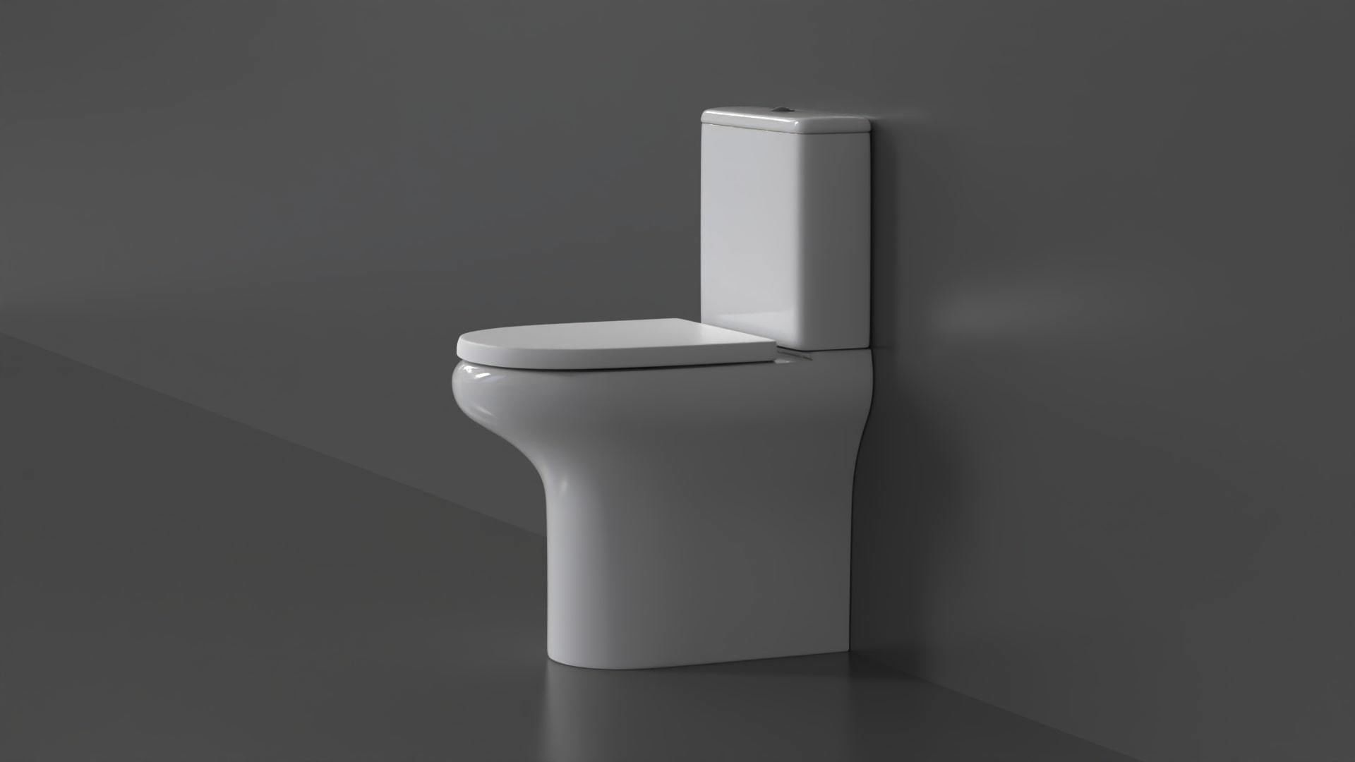 WC36 Toilet 3D model_1