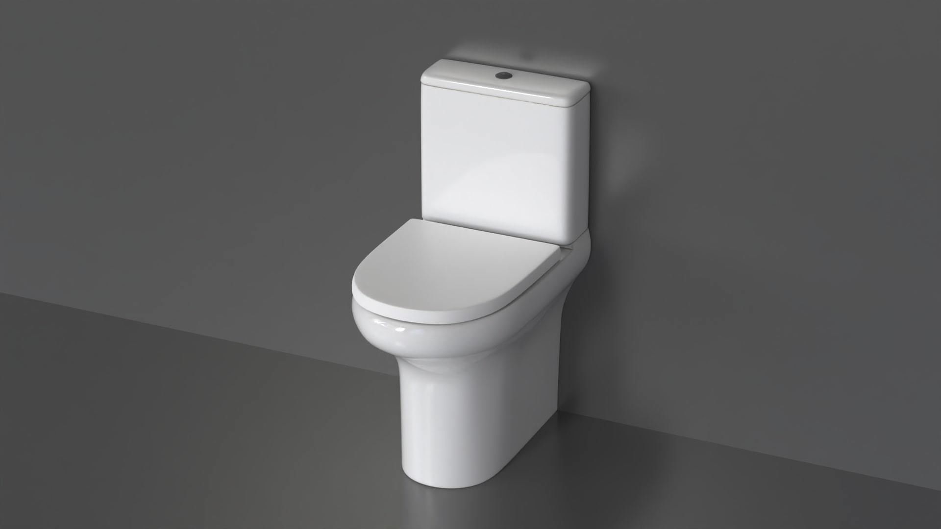 WC36 Toilet 3D model_2