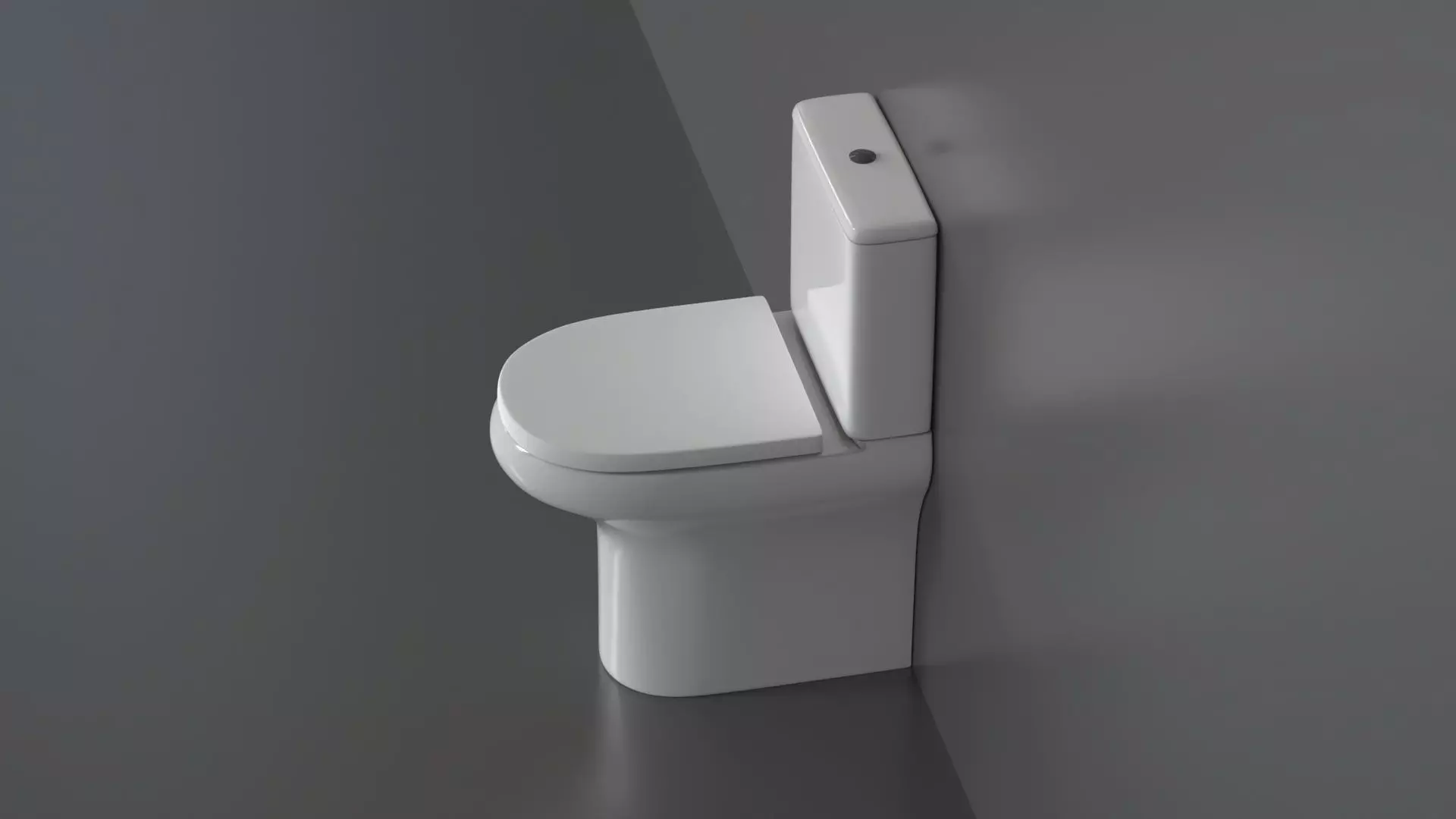 WC36 Toilet 3D model_0