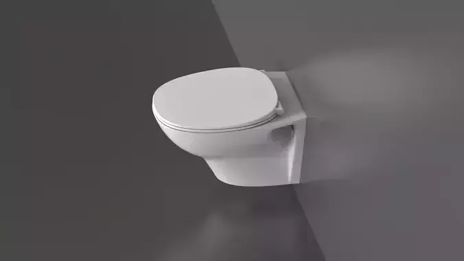 WC43 Toilet