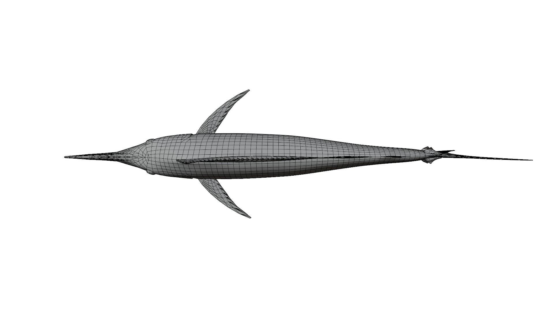 Sword Fish 3D model_15