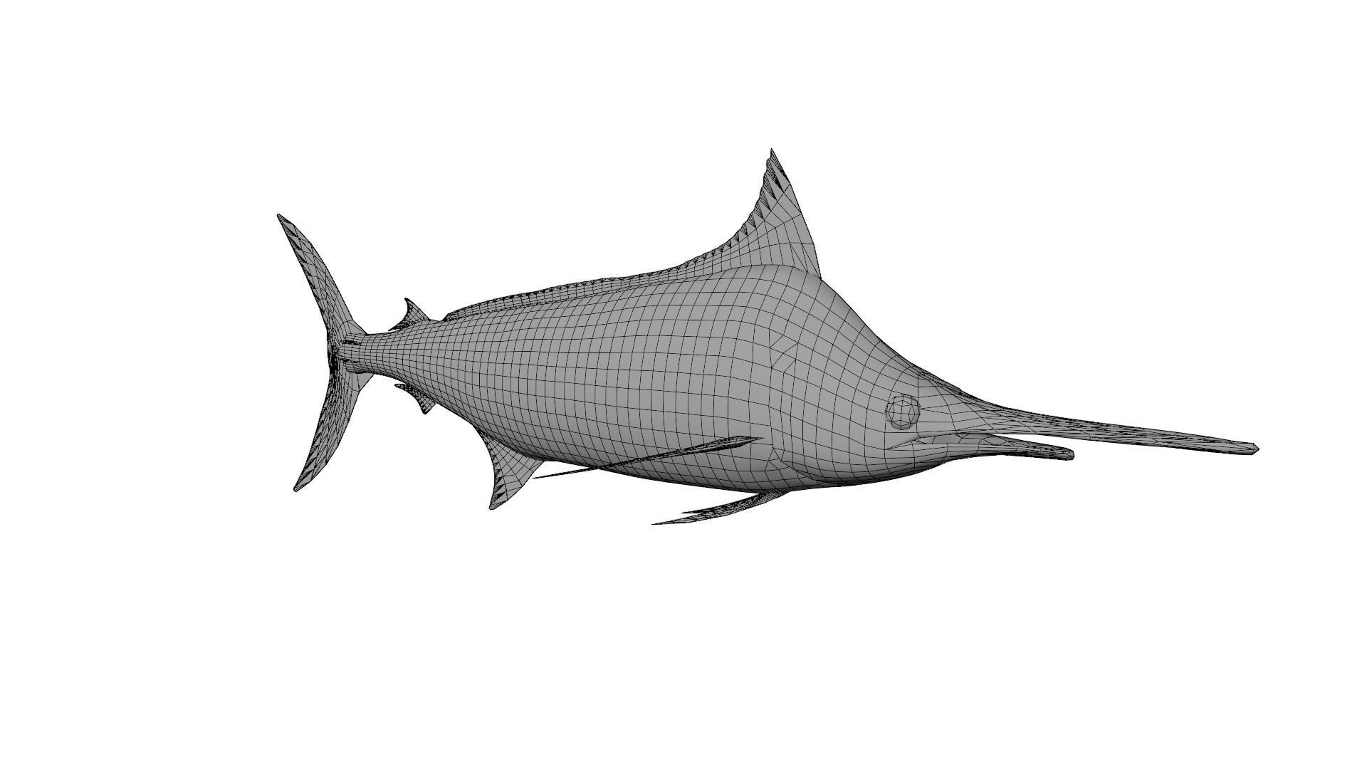 Sword Fish 3D model_14