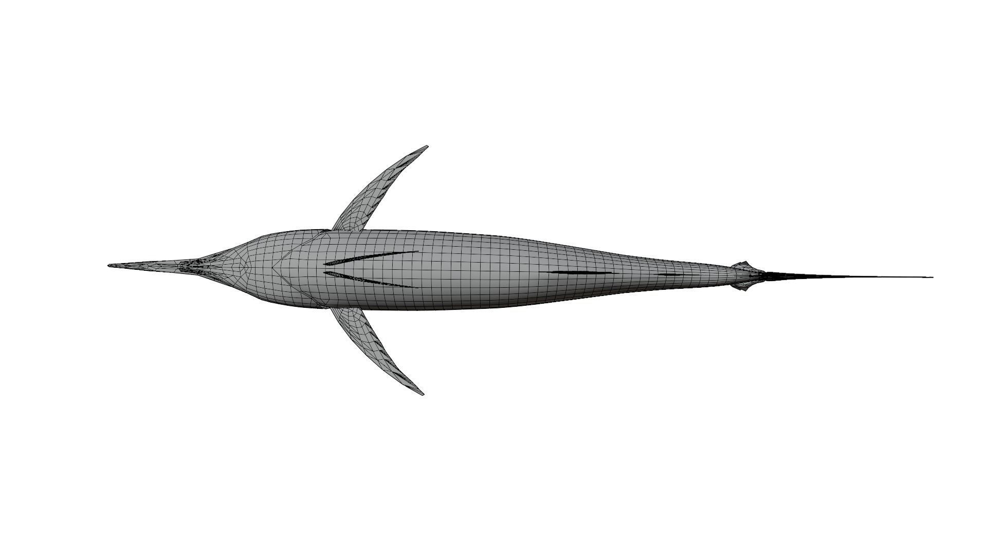 Sword Fish 3D model_16