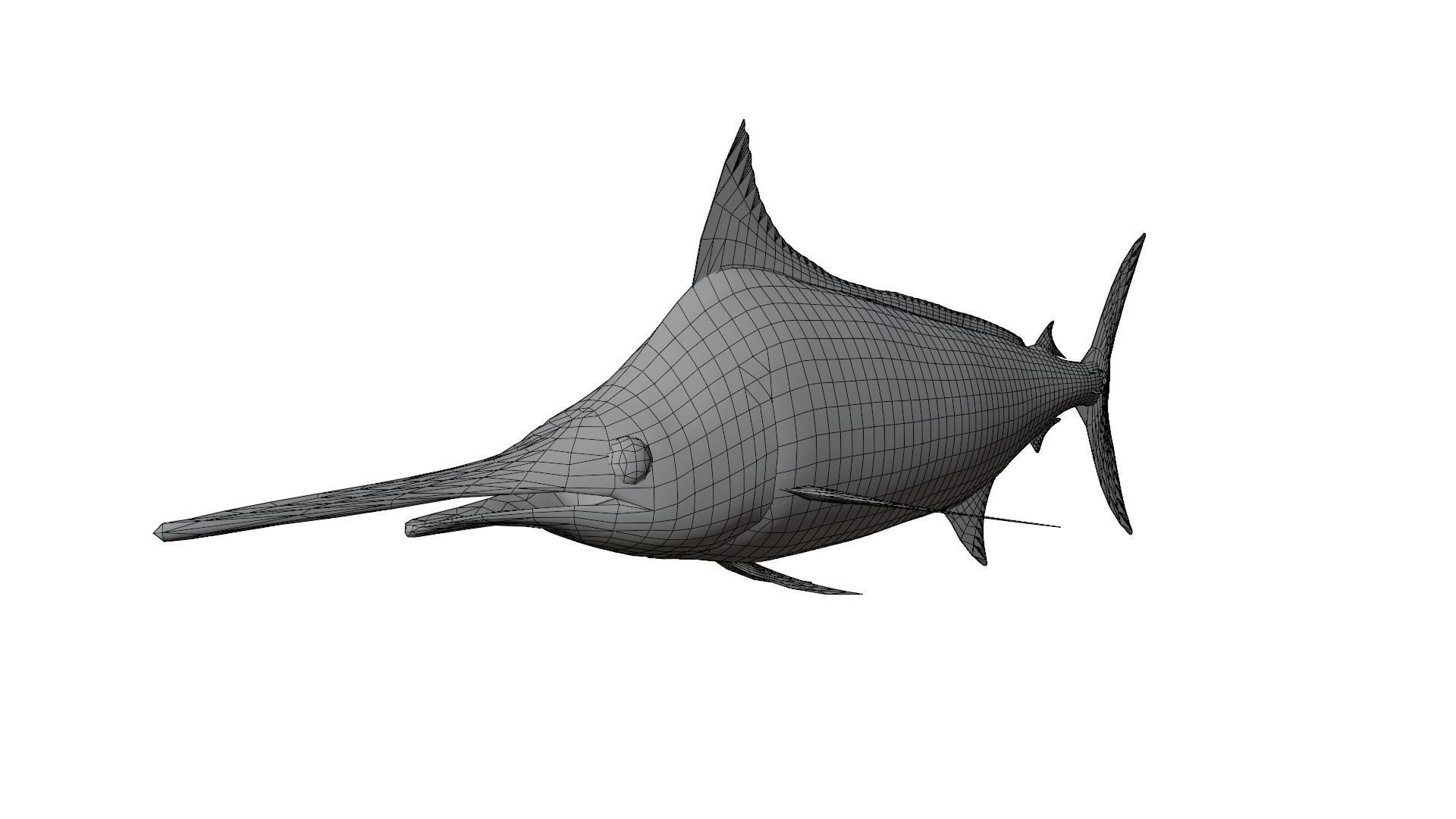 Sword Fish 3D model_9