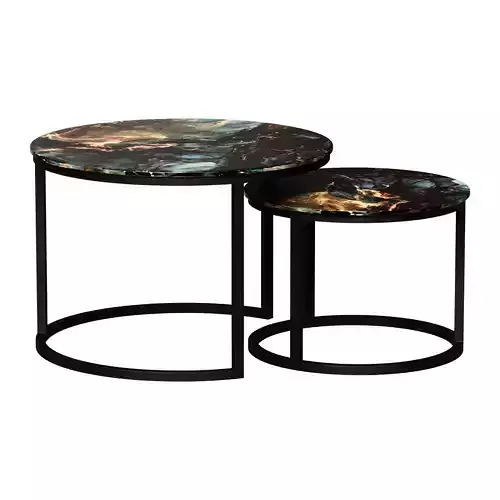 ROUND SPACE COFFEE TABLE WITH BLACK TANGO BASE 2 PCS 3D model