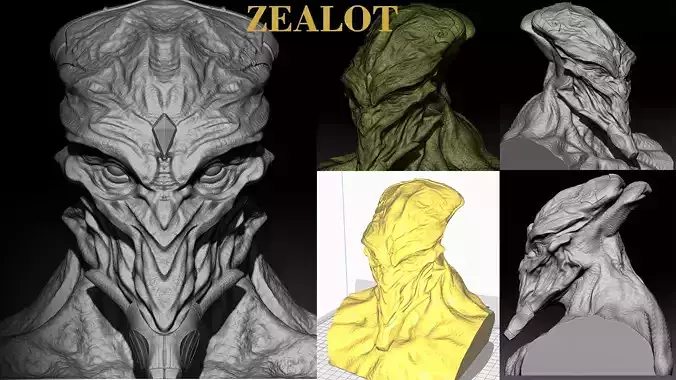 Zealot bust
