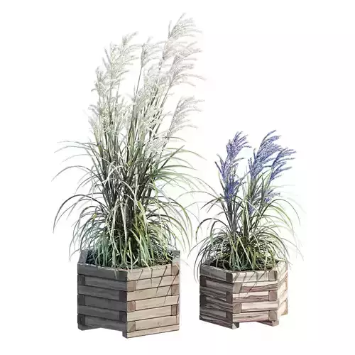 Wooden Hexagonal Planter