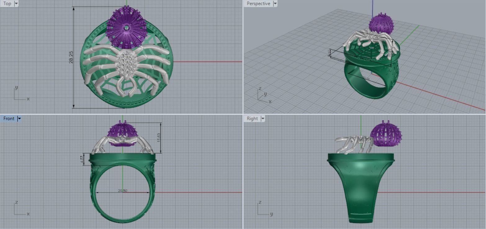 Ring spider 3D print model_8