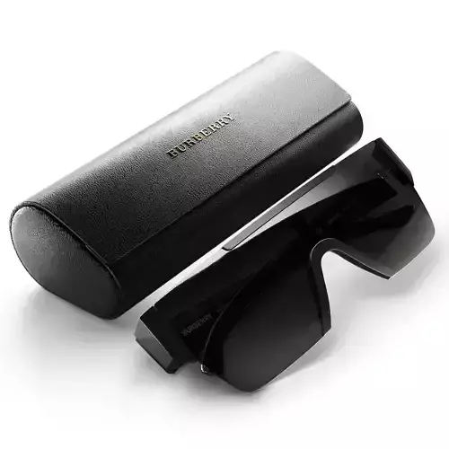 Sunglasses Burberry BE-4291 3D model