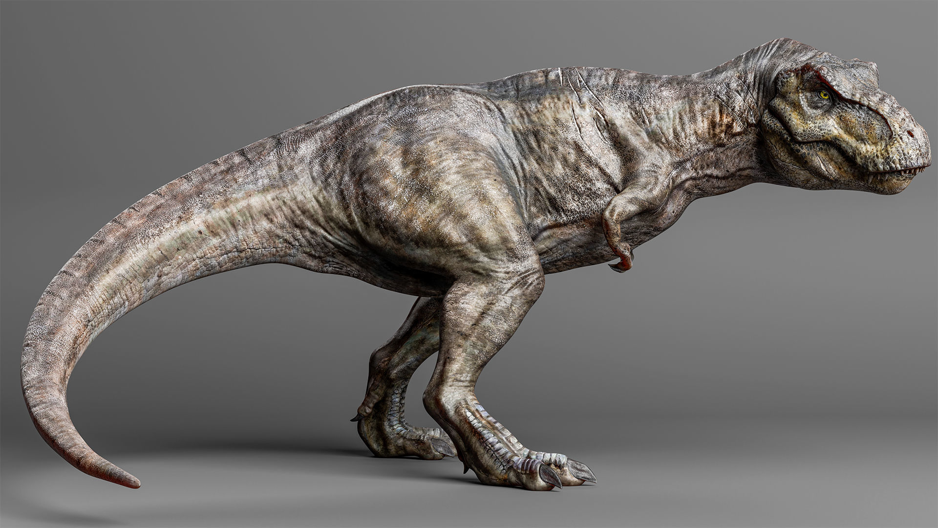 Jurassic Carnivor Collection _3