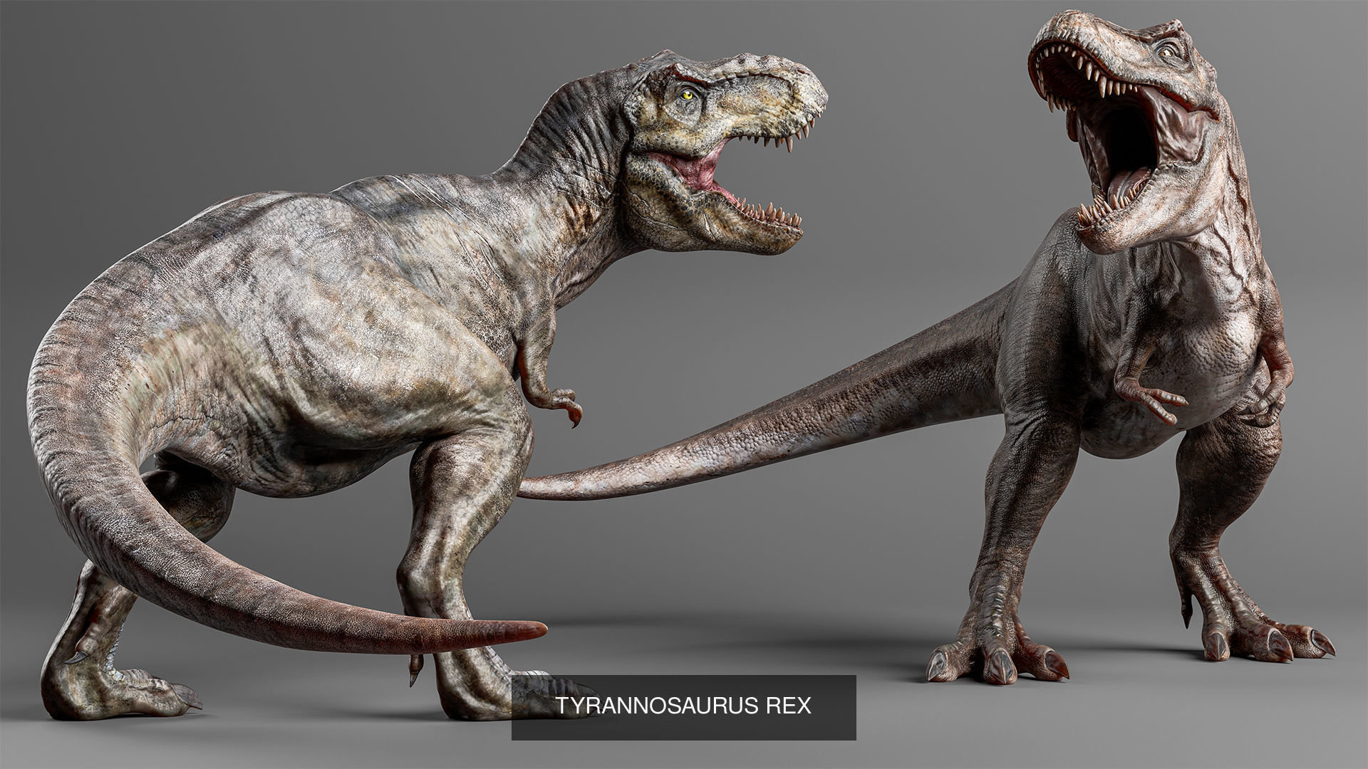 Jurassic Carnivor Collection _2