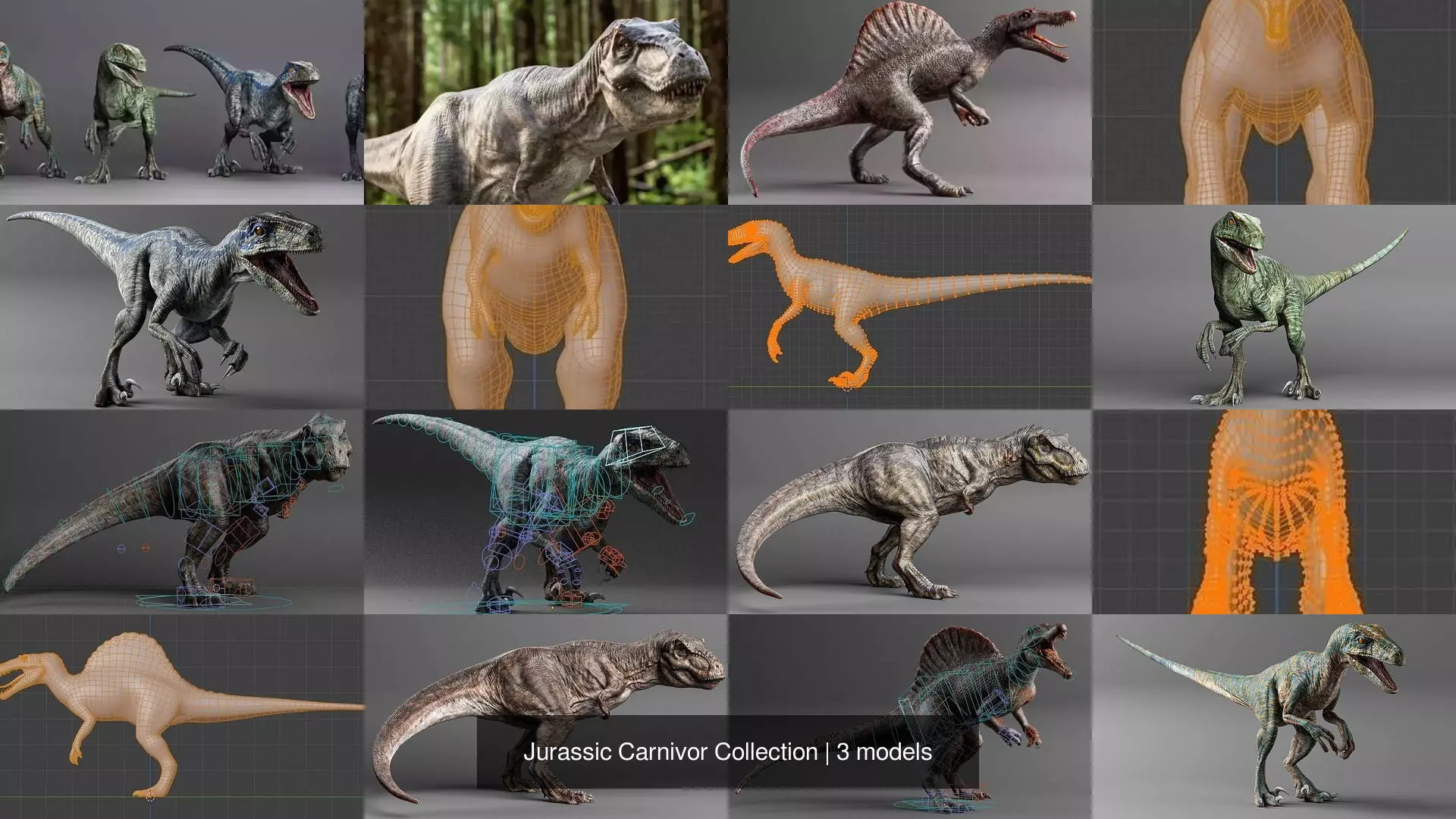 Jurassic Carnivor Collection _0