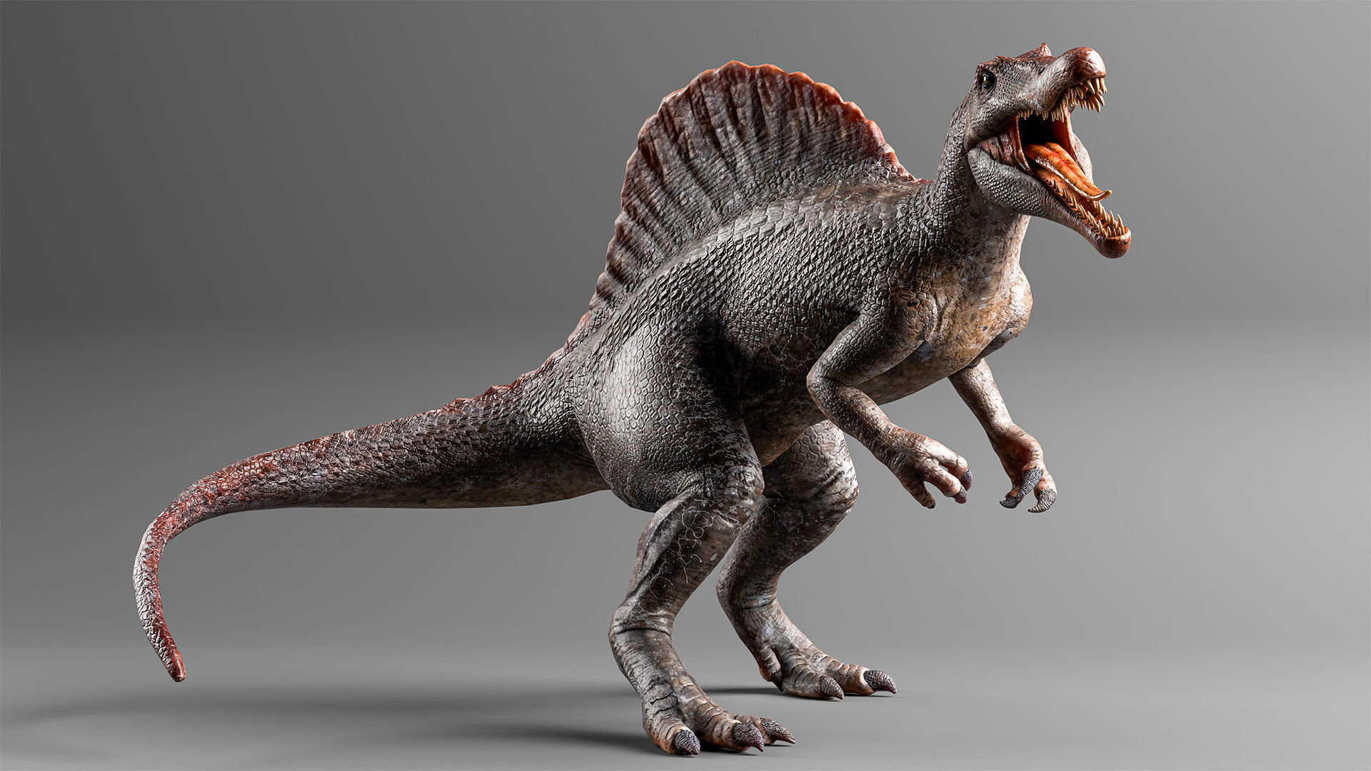 Jurassic Carnivor Collection _6