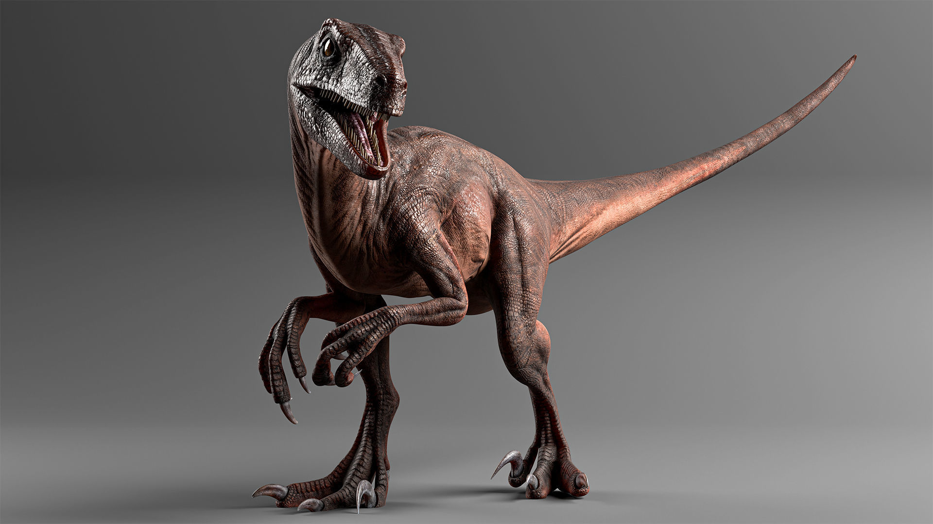 Jurassic Carnivor Collection _9