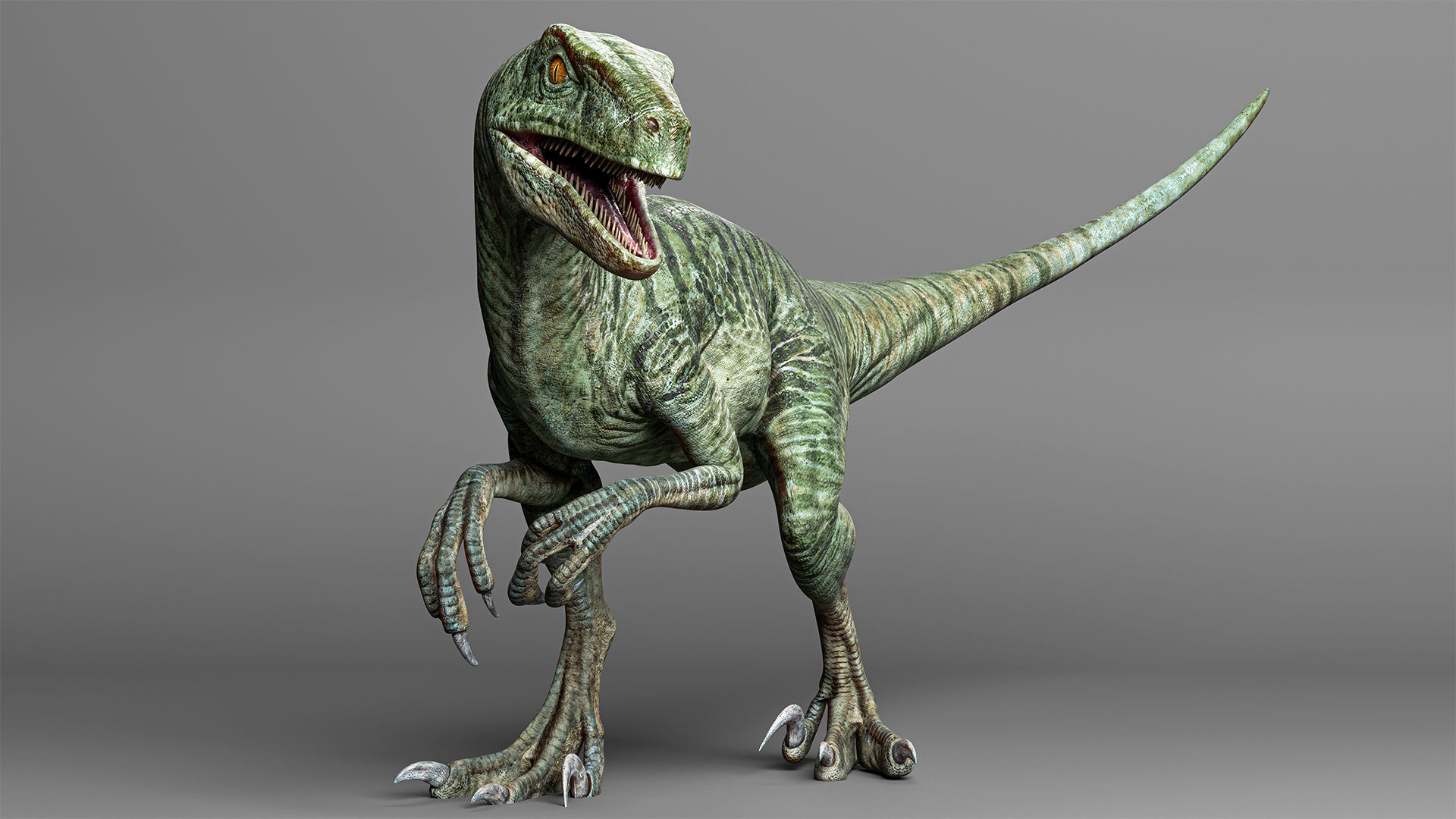 Jurassic Carnivor Collection _7