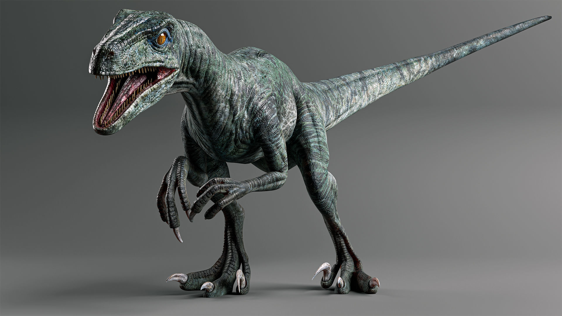 Jurassic Carnivor Collection _10