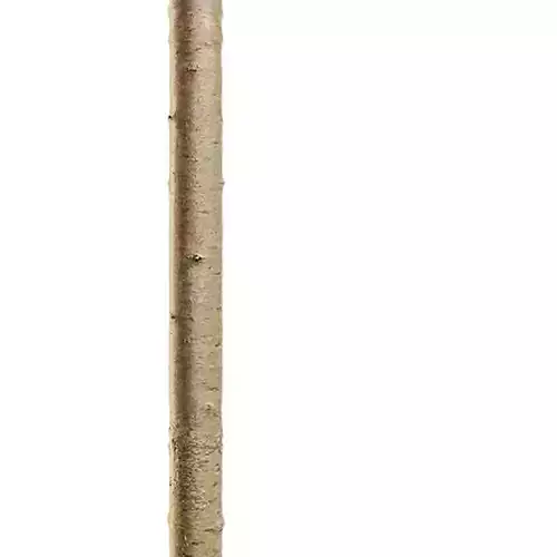 Bark Seamless Texture 2K - EXR 5 - JPG 5 Texture