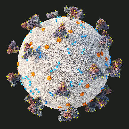 Close-up of coronavirus COVID-19 3D model | CGTrader