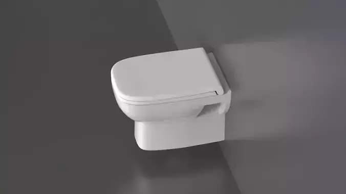WC47 Toilet