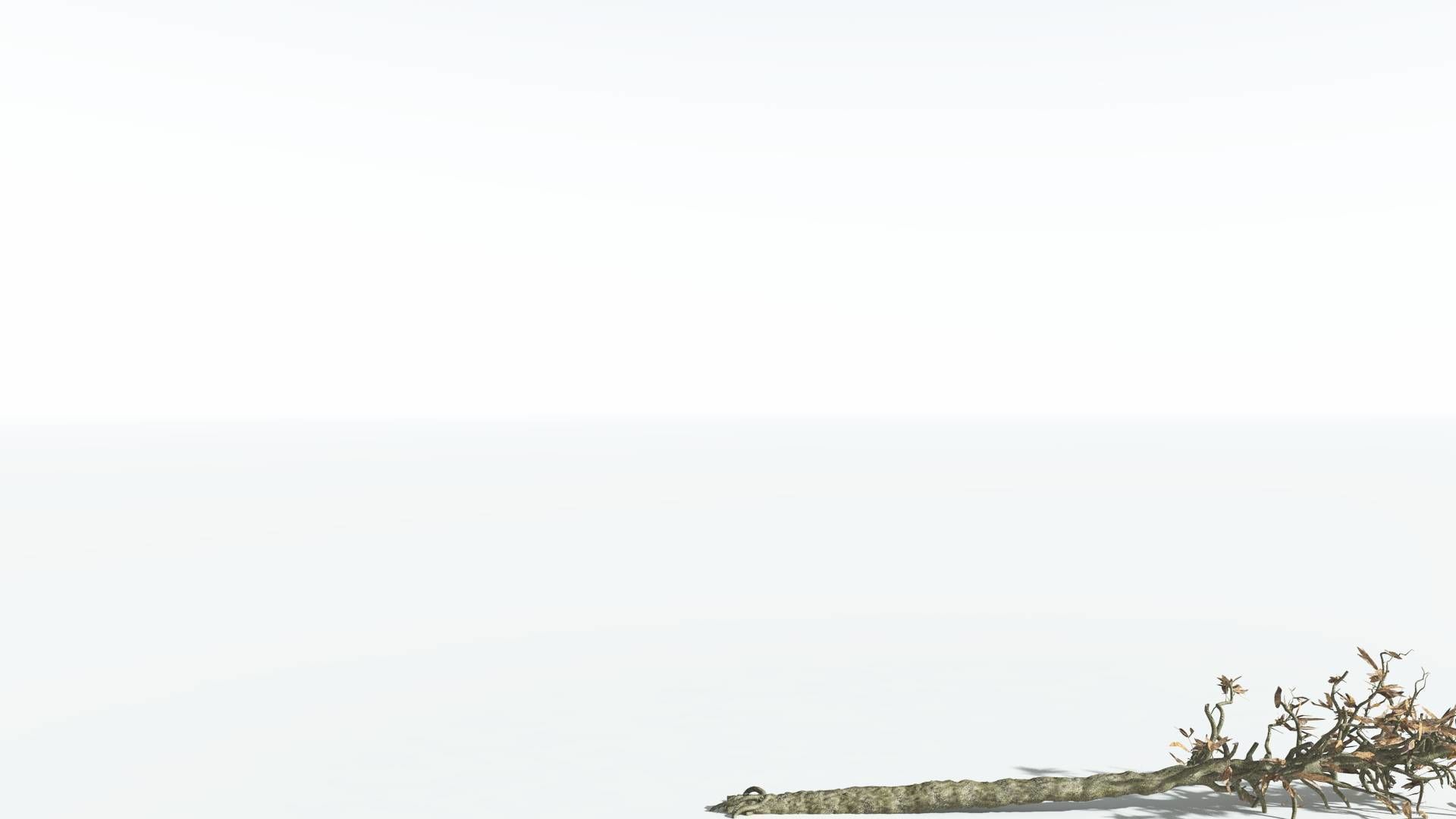 EVERYPlant Cordaites 4 --12 Models-- 3D model_12