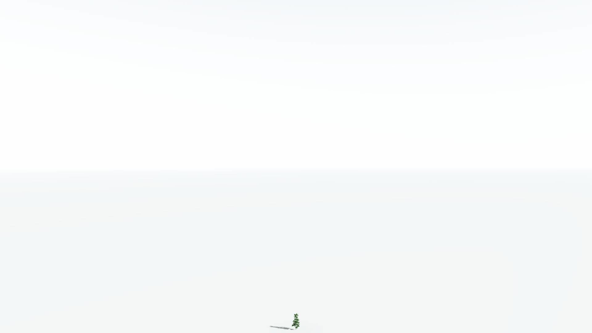 EVERYPlant Cordaites 4 --12 Models-- 3D model_20