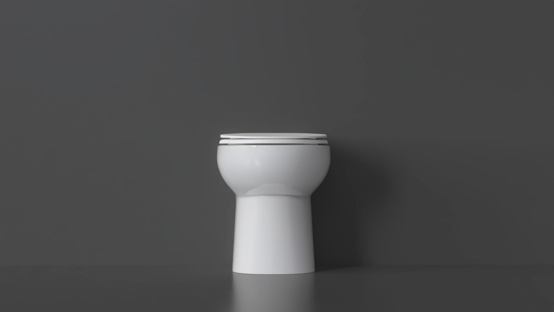 WC51 Toilet 3D model_2