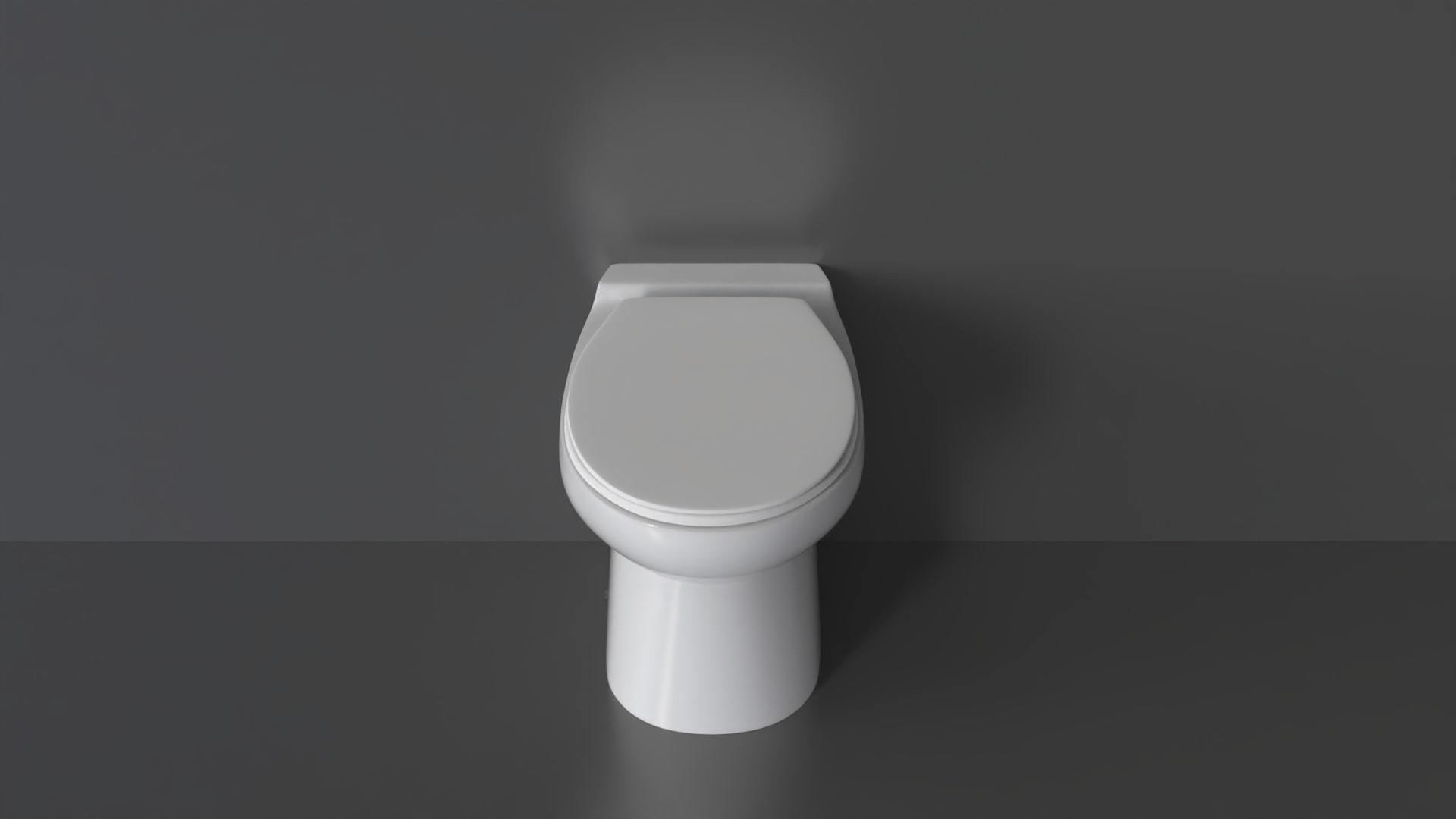 WC51 Toilet 3D model_3