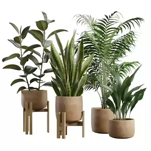 Indoor Plants Pack 65