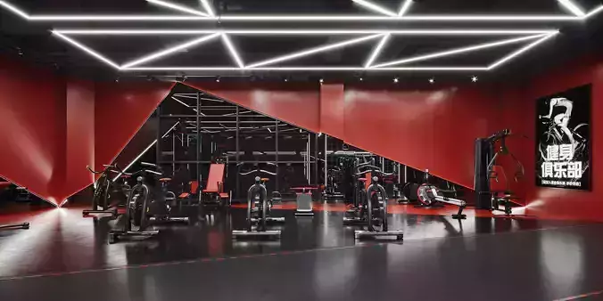 Industrial gym