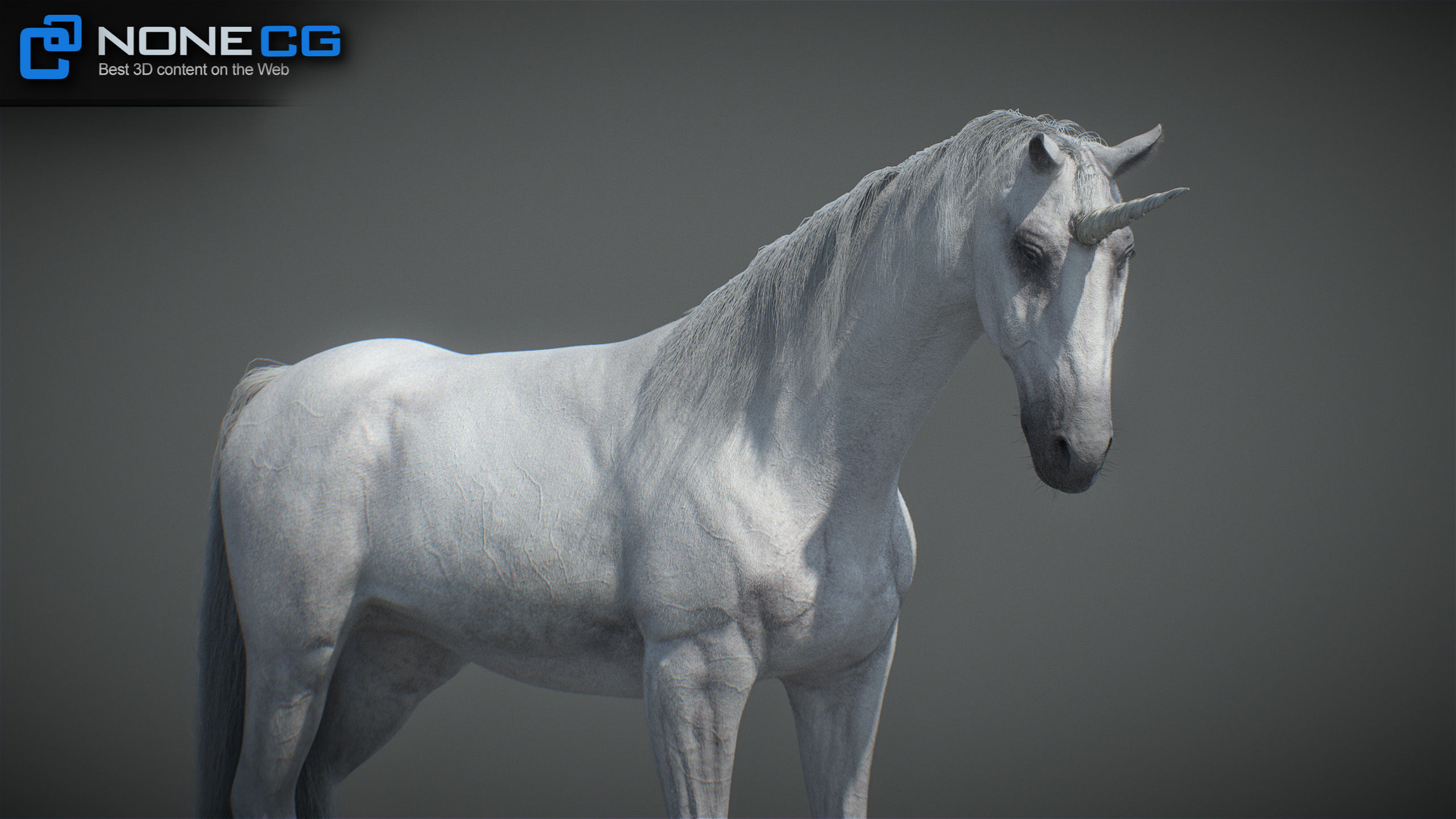 Animated Unicorn 3D model_20